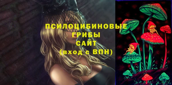твердый Алзамай