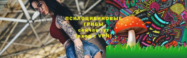 прущий лед Алексин