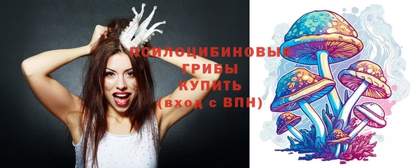 прущий лед Алексин