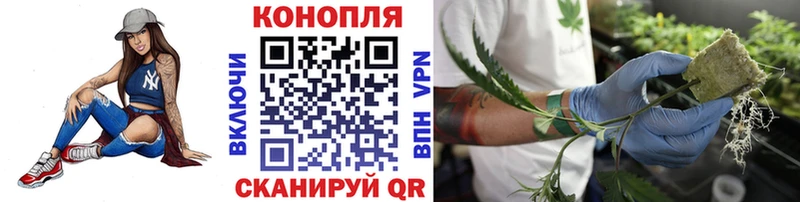 Шишки марихуана Ganja  Ветлуга 